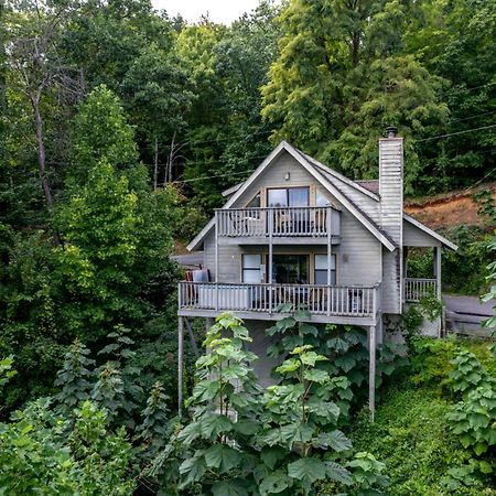 Holly Tree Cabin 936 Gatlinburg Exteriér fotografie